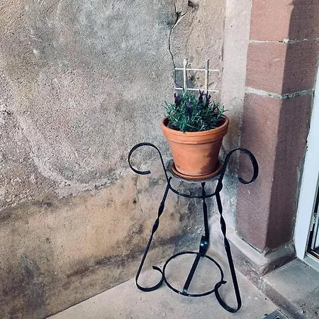 Avec Terrasse Privative *