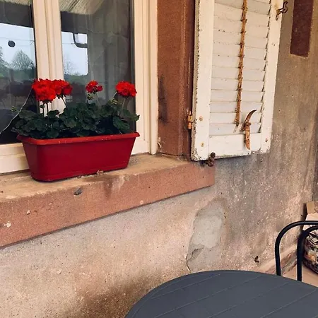 Avec Terrasse Privative Celles-sur-Plaine