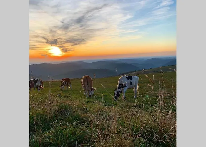 Avec Terrasse Privative Apartment *