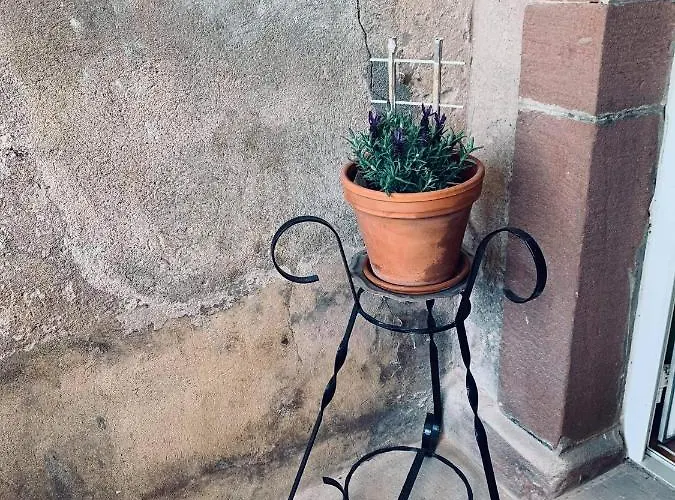 Avec Terrasse Privative *