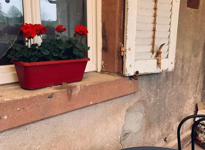 Avec Terrasse Privative Celles-sur-Plaine