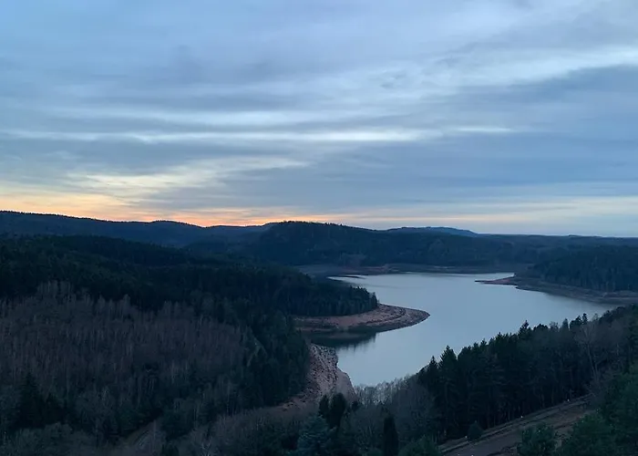 Avec Terrasse Privative